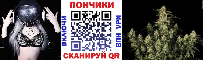 купить Лобня Бошки Шишки MAZAR